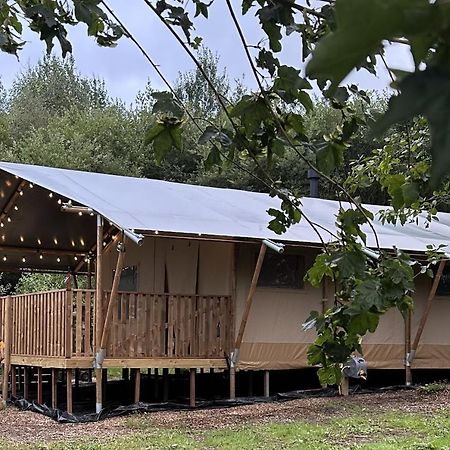 Cherry Tree Safari Lodge Talaton Εξωτερικό φωτογραφία